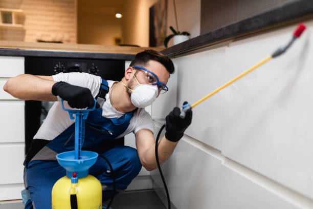 Best Bed Bug Extermination  in Ladonia, AL