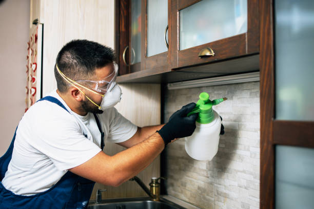 Best Mosquito Control Services  in Ladonia, AL