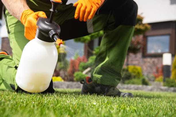 Best Local Pest Control Services  in Ladonia, AL