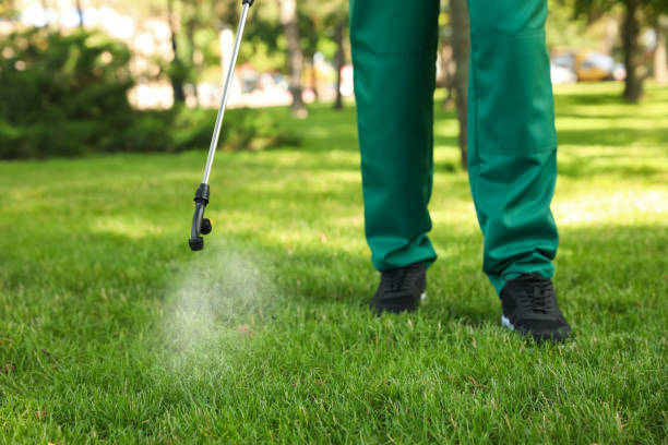 Best Pest Prevention Services  in Ladonia, AL