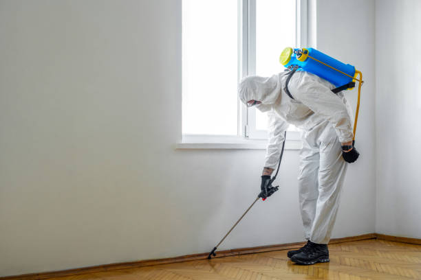 Best Affordable Pest Control Services  in Ladonia, AL