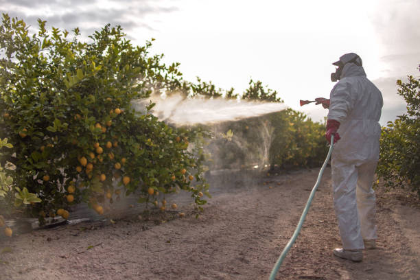 Insect Control in Ladonia, AL