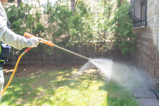 Best Rodent Control Near Me  in Ladonia, AL
