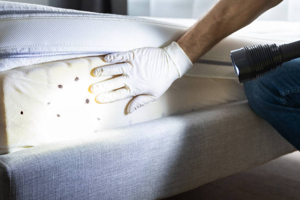 Wasp Removal Services in Ladonia, AL
