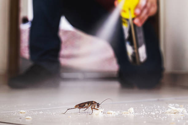 Best Pest Control Cost  in Ladonia, AL