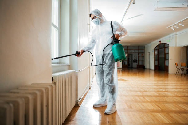 Best Termite Control Services  in Ladonia, AL