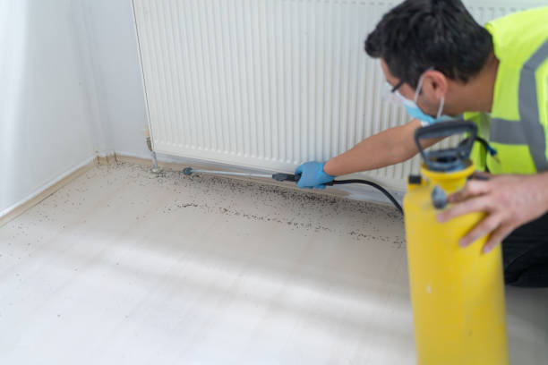 Best Exterminator Services  in Ladonia, AL